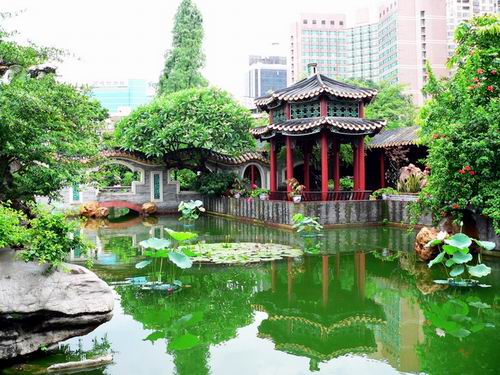 景點百花綻放 總有一處你想去的
