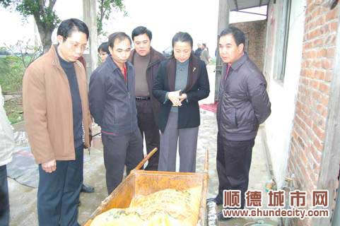 水產品把關，順德力度全省最嚴