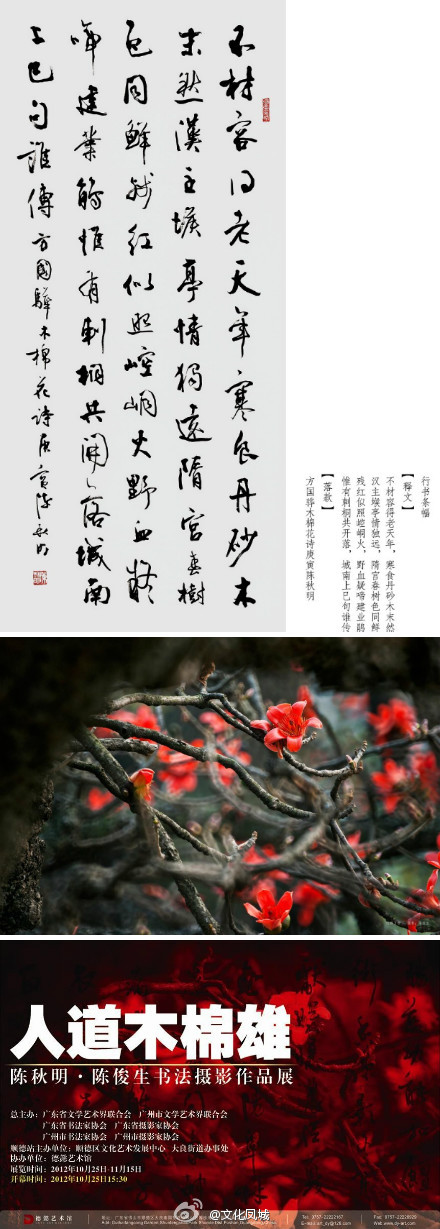 藝術館感受滿城紅棉盛況