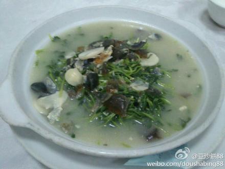 天氣變冷，上湯豆苗也縮水？