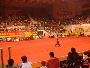 首個(gè)大型體育公園，或春節(jié)前開(kāi)放
