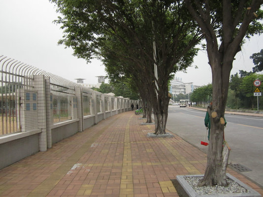 鎮街美城表現如何？市民也有話事權！