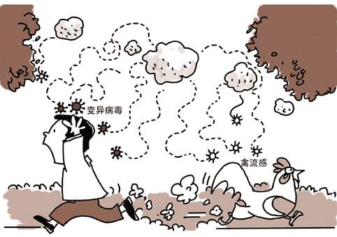 “禽流感”鬧人心，動物防疫不容忽視！