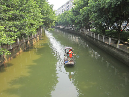 有獎舉報，順德主干河涌排污口年內完成整治