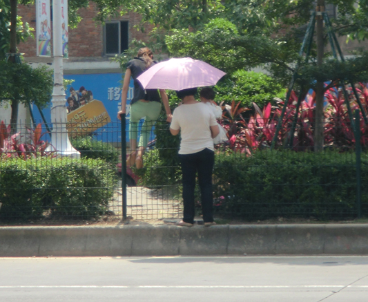 路邊花基鐵欄圍閉裝“綠網”，向橫穿say no