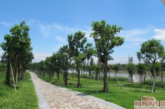 一億元！北滘濱河景觀比美順峰山公園