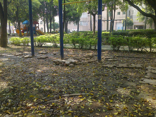 落葉滿地不歸根，公園環境成困擾