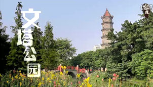 容桂宣傳片-旅游篇