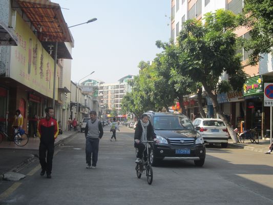 機動車增數(shù)過萬，容桂多條路車流量超限
