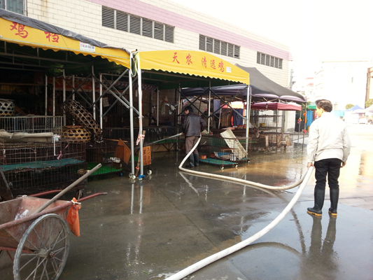 加強監(jiān)管！北滘積極預防H7N9型禽流感