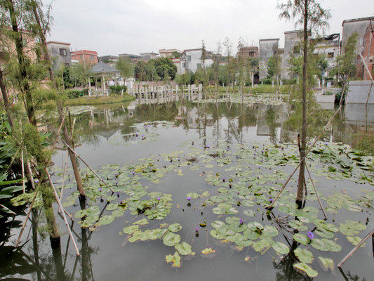 倫教：擬再建8個農村分散式污水處理站