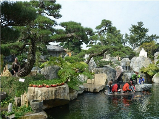 花鄉正能量：為陳村綻放生命，約您共吐芬芳