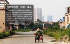 寂靜的土地“涅槃”重生