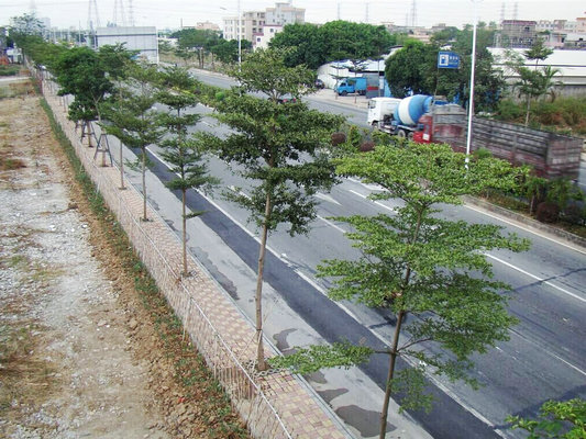 85家建材店撤離，南國西路勒流段變靚！