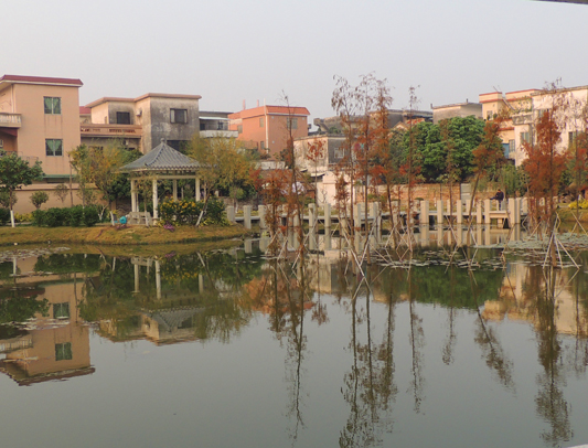 倫教：8個農(nóng)村生活污水站已基本建成