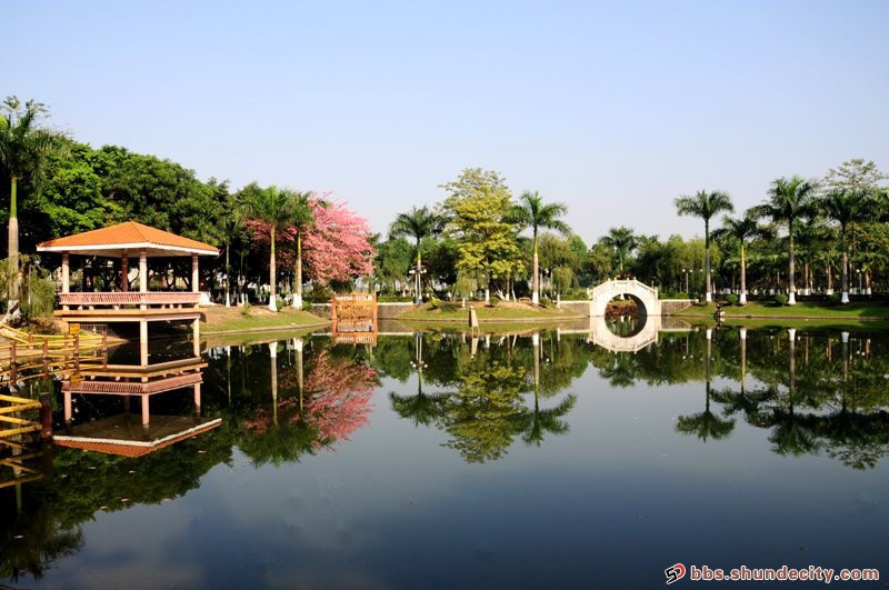 冬日里的三州公園小景