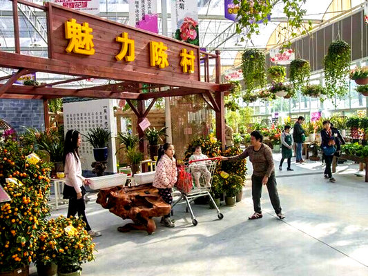 改民生卷子：陳村免費(fèi)WiFi被點(diǎn)贊最多！