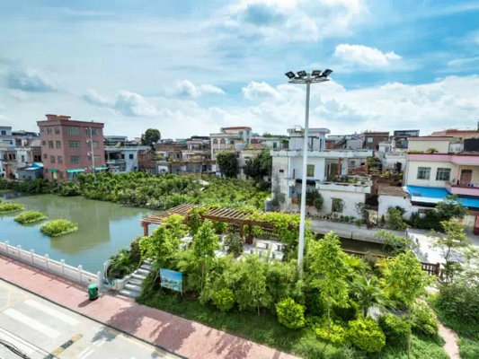 30年臭魚塘變成公園風景，成省環保示范