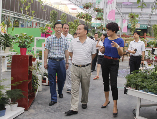 南沙發展休閑農業，日后或重現桑基魚塘