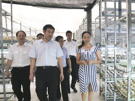 出口種苗花卉質量安全示范區或年內建成
