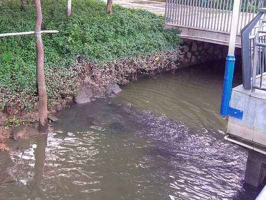 桂畔海變“黑龍江”？難道有人偷排？