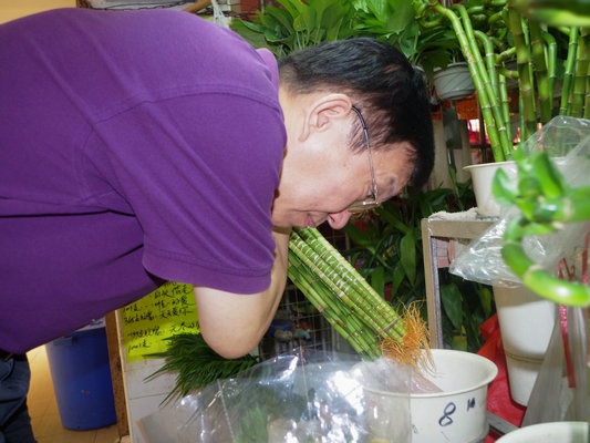 國(guó)家衛(wèi)生鎮(zhèn)復(fù)審：水鄉(xiāng)杏壇難找衛(wèi)生死角