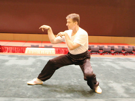 武術(shù)大師：順德吸引了我，所以我來(lái)了