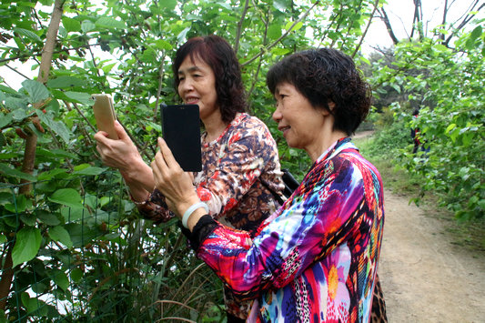 一起攝影微拍，近百婦女代表歡度節日