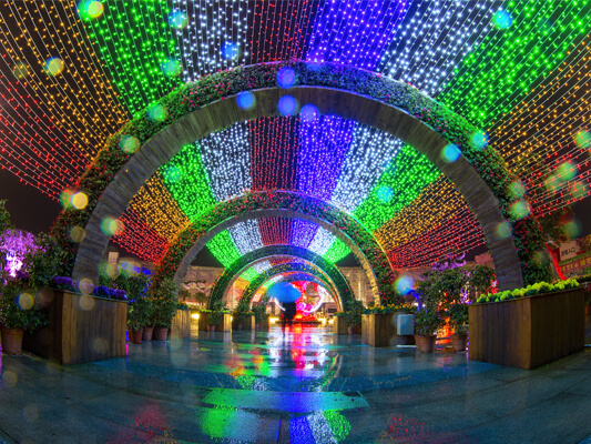 你見過比這更美的花卉旅游文化節嗎？