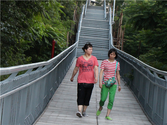 華蓋山棧道建好，大良城區(qū)靚景盡收眼底