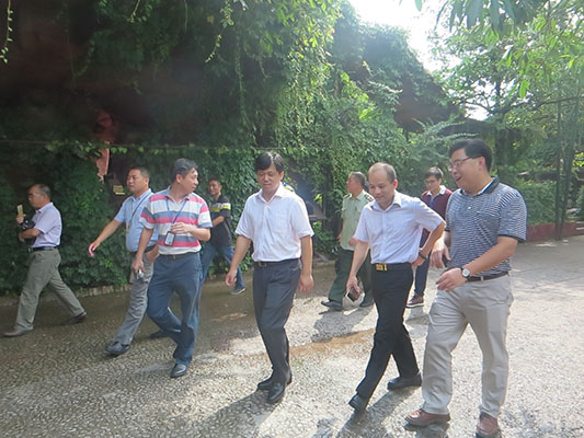 “地毯式”排查，力保汛期旅游安全紅線