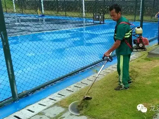 龍江：天湖森林公園游泳館即將啟用