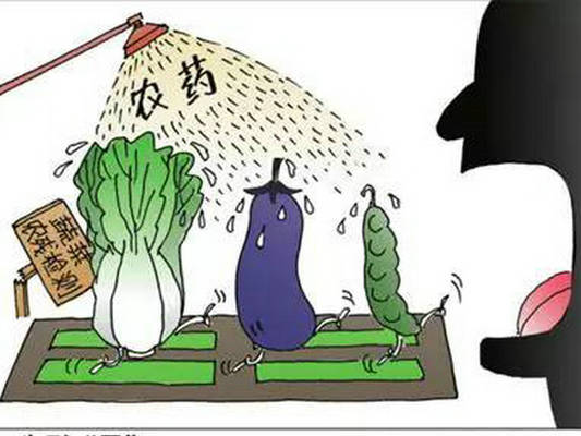 龍江上半年銷毀超標蔬菜約287公斤！