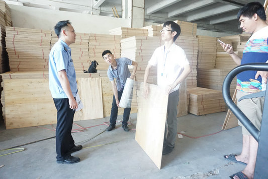 樂從：“三著力”整治人造板生產企業
