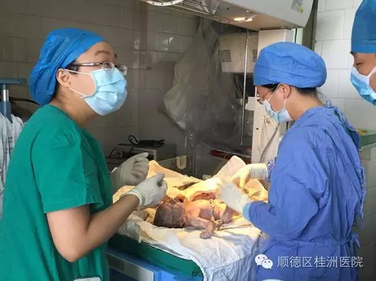 17歲孕婦腦出血，多學科高效協作搶救