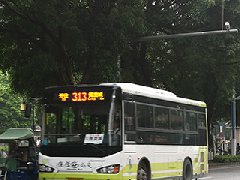 順德網議：公交車身投放廣告，你點睇？