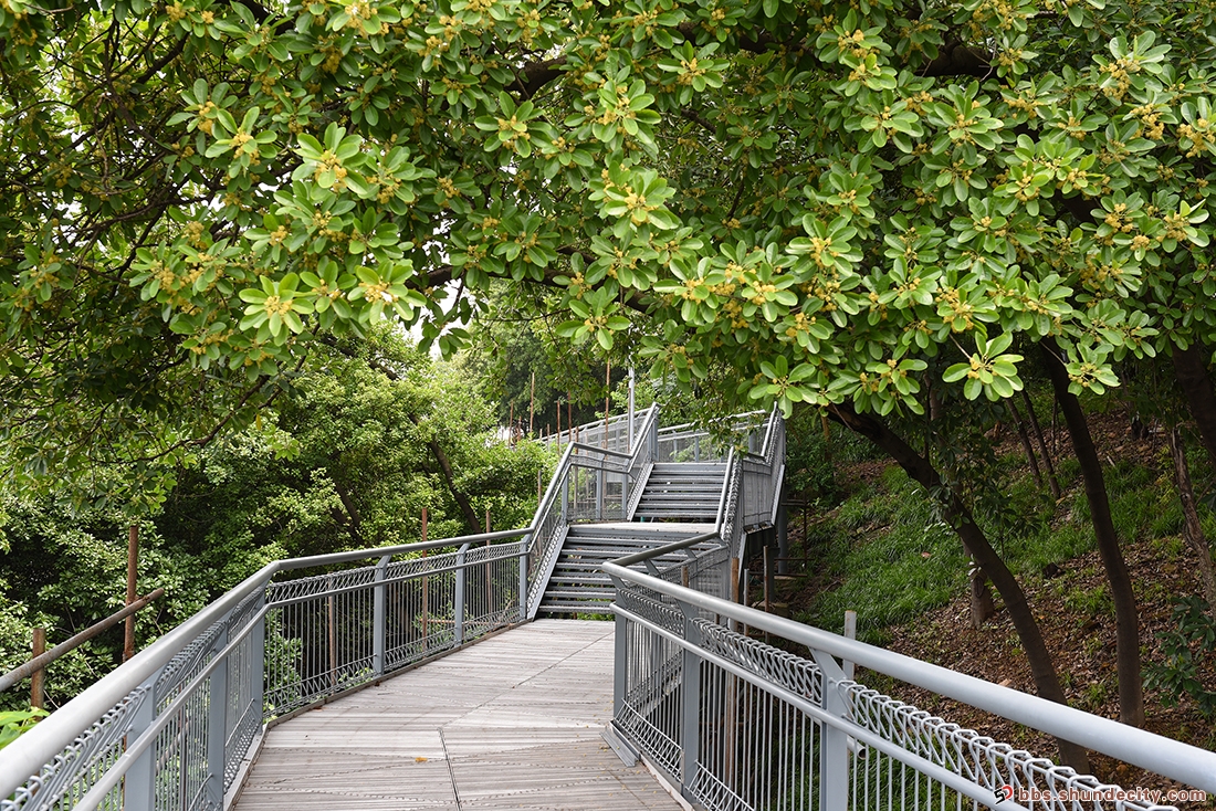 華蓋山棧道