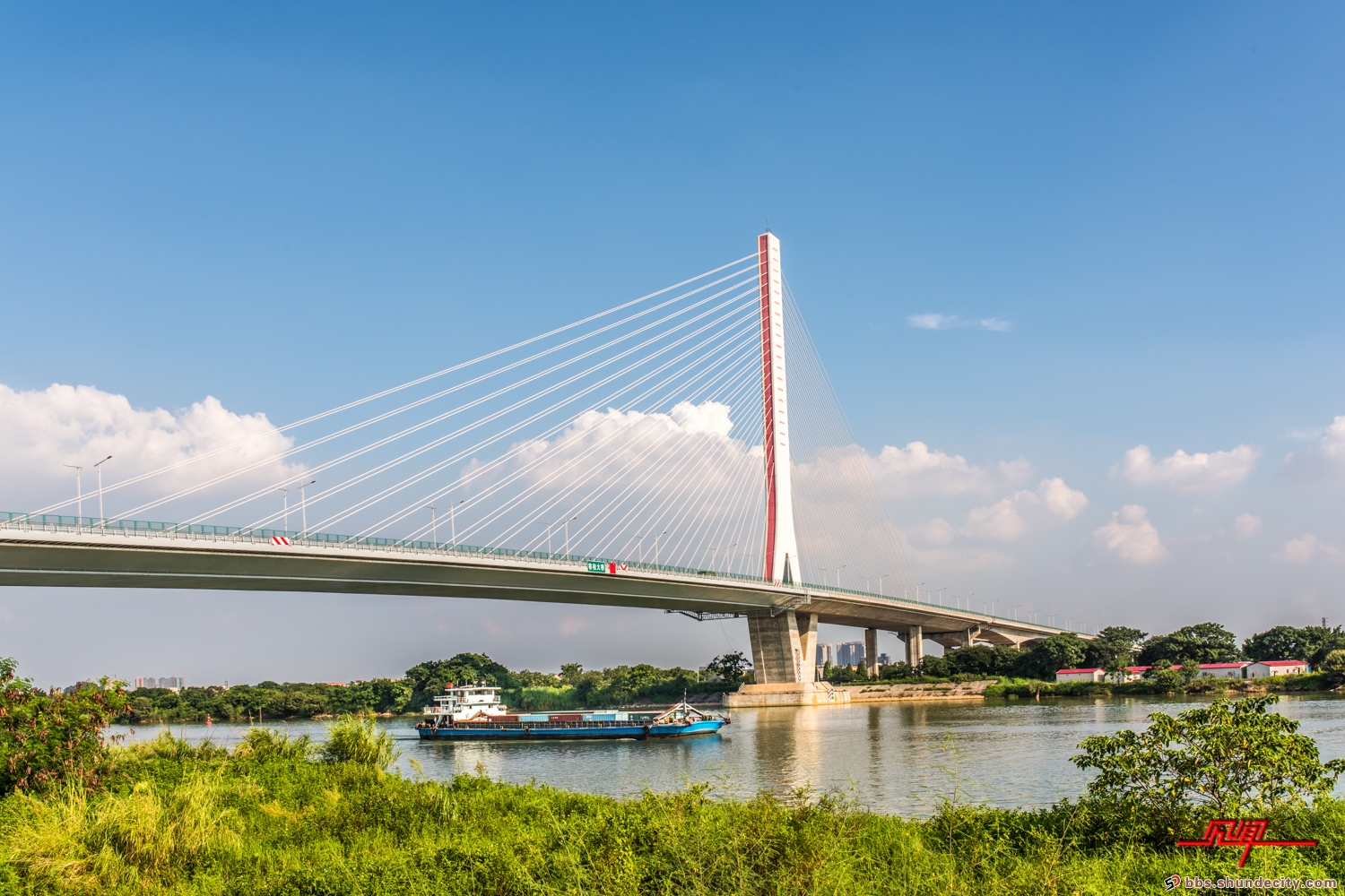 容桂特大橋