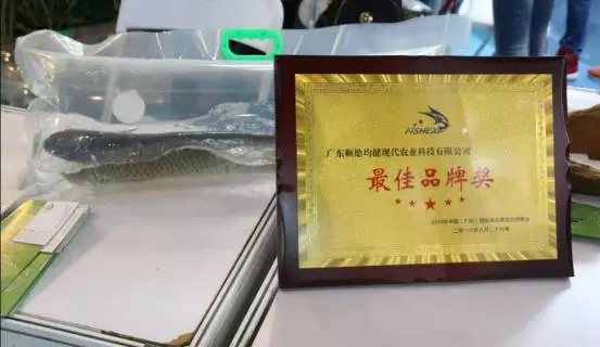 均安：各界支招如何讓“草鯇”游得更遠(yuǎn)