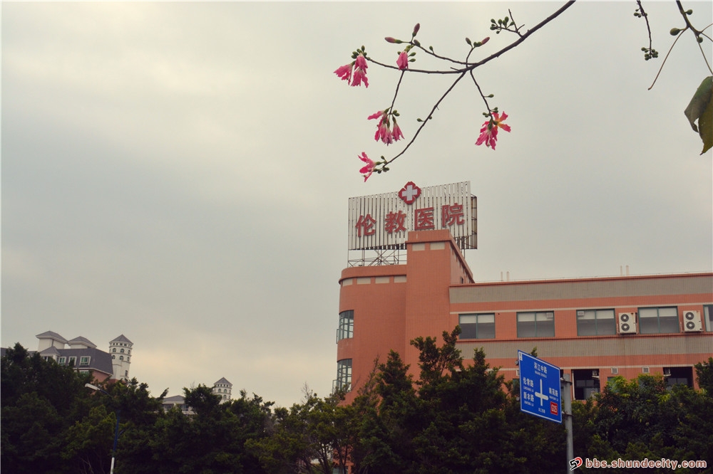 一窺倫教之美
