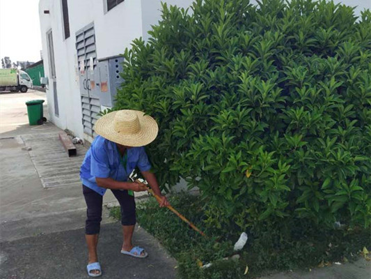 保障員工健康，國通物流城全面滅鼠