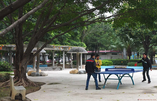 悠閑時，來一場球賽！沙邊市民的文體活動多多（順德城市網“福源