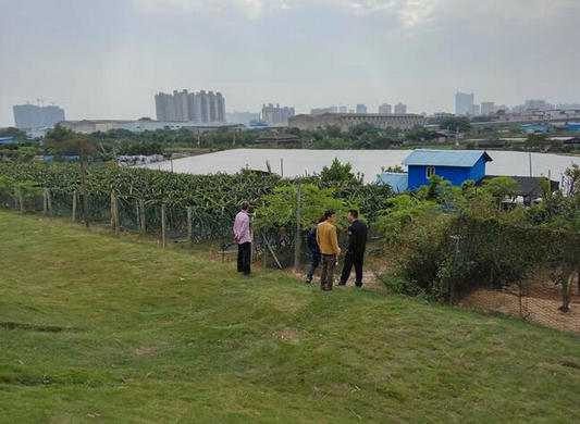 樂從：呵護水源，拆除水源保護區違建