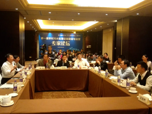 農村污水如何治理？順企請專家支招