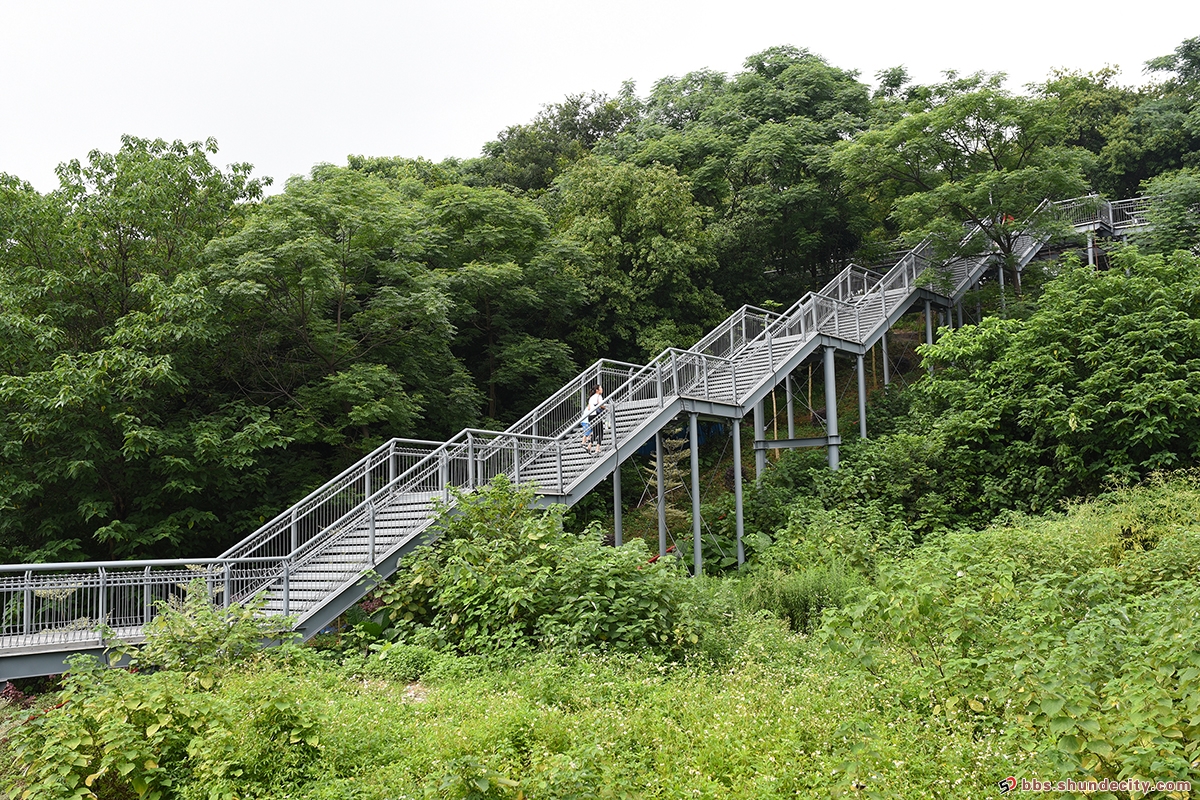 嘆美景：get兩個好去處，攬盡鳳城繁華勝景