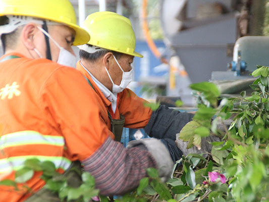 右眼新聞：順德向綠化垃圾“提款”
