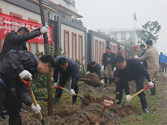 勒流：一起來植樹，讓城市充滿綠意