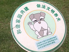養小狗的居民，請牽好你的“文明繩”