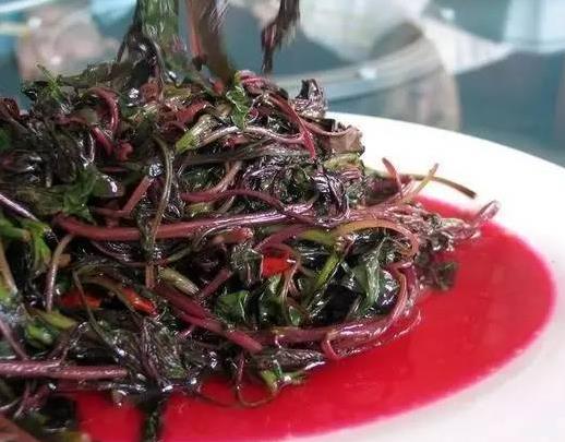 順德人愛吃的這些野菜，你吃過哪幾種？