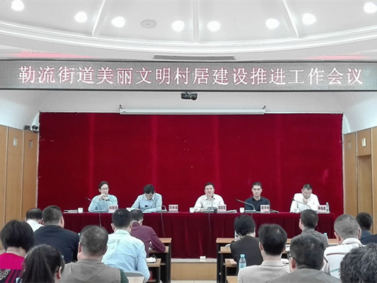 勒流：走出自己的美麗文明村居建設之路